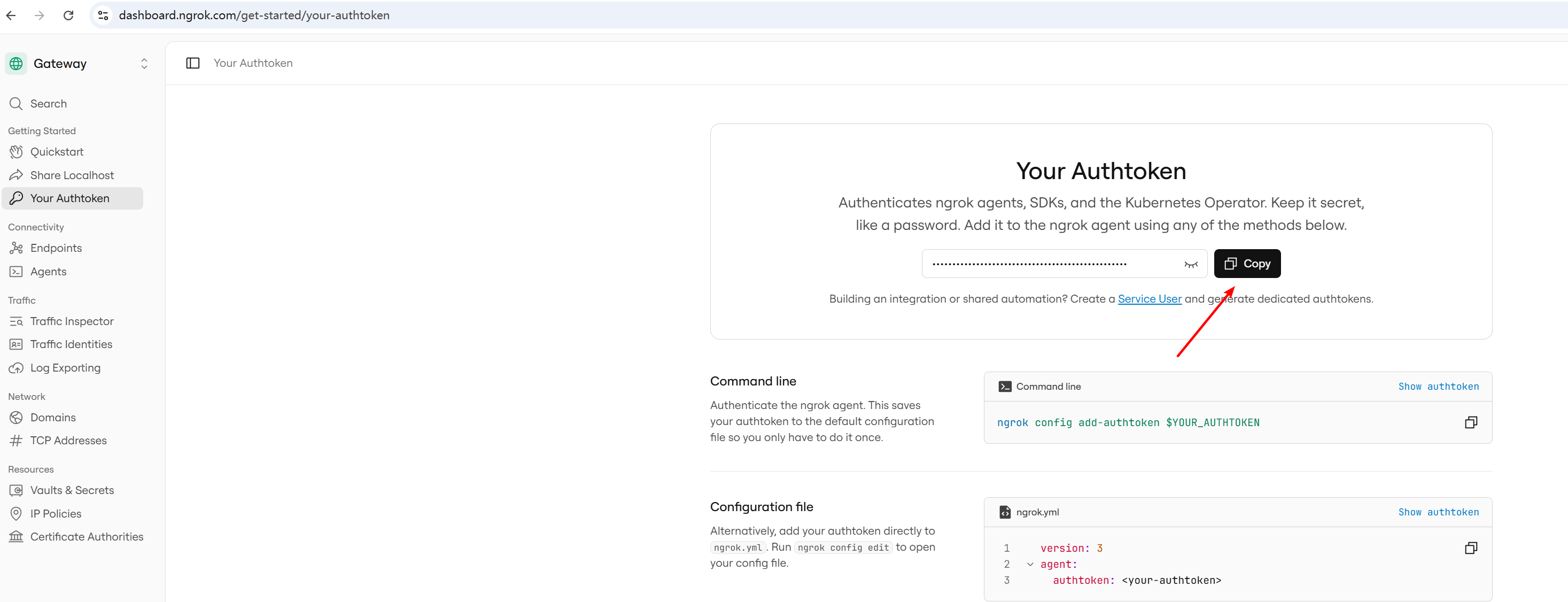 Copy Your Authtoken